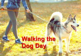 Walking Your Dog Day