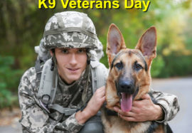 K9 Veterans Day