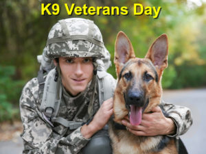 Read more about the article K9 Veterans Day