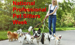 National Professional Pet Sitters Week