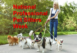 National Professional Pet Sitters Week