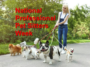 Read more about the article National Professional Pet Sitters Week