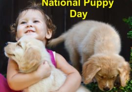 Commemorating National Puppy Day – March 23, 2017