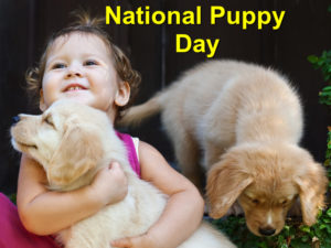 Read more about the article Commemorating National Puppy Day – March 23, 2017