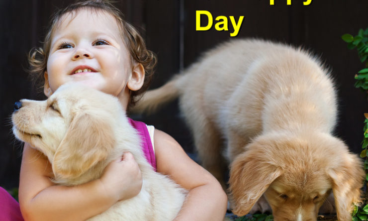 Commemorating National Puppy Day – March 23, 2017