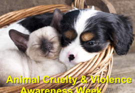 Animal Cruelty And Violence Awareness Week