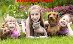 Bring Your Kids and Pets Out to Play