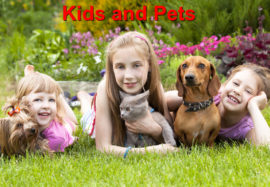 Bring Your Kids and Pets Out to Play