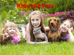 Read more about the article Bring Your Kids and Pets Out to Play