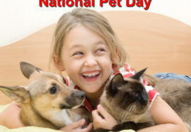 National Pet Day is Fast-approaching