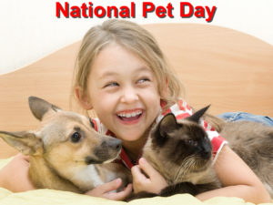 Read more about the article National Pet Day is Fast-approaching