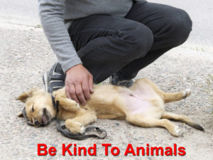 Read more about the article Be Kind To Animals