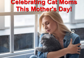 Celebrating Cat Moms This Mother’s Day!