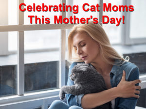 Read more about the article Celebrating Cat Moms This Mother’s Day!