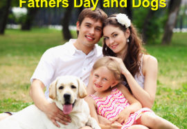 Father’s Day and Dogs