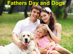 Read more about the article Father’s Day and Dogs