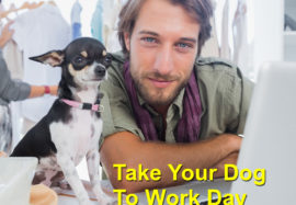 Take Your Dog To Work Day