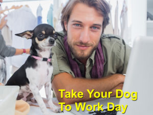 Read more about the article Take Your Dog To Work Day