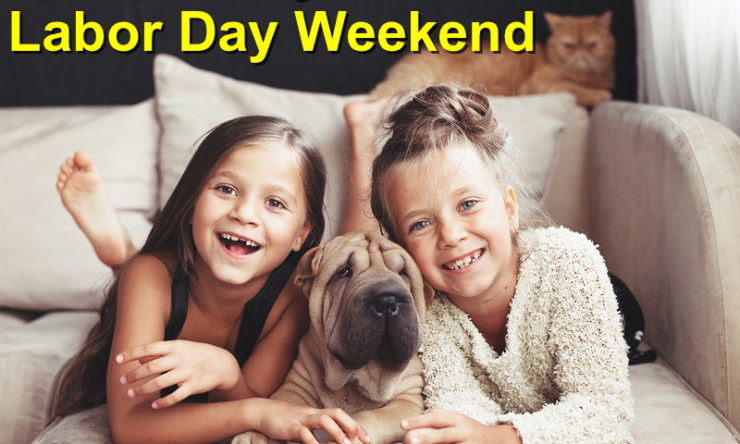 Pet Safety: Top This Labor Day Weekend Tips