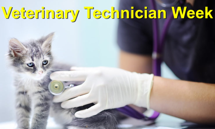 Veterinary Technician Week