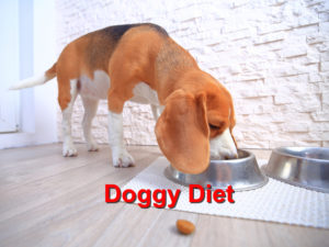 Read more about the article Doggy Diet Tips