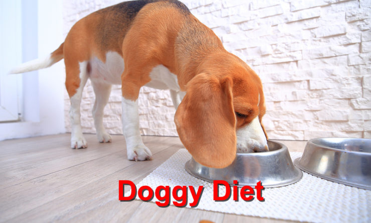 Doggy Diet Tips