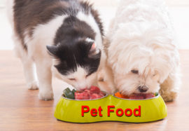 Pet Food