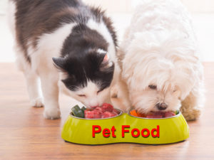 Read more about the article Pet Food