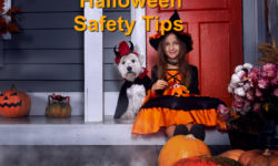 Halloween Safety Tips