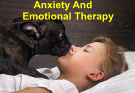 Anxiety And Emotional Therapy