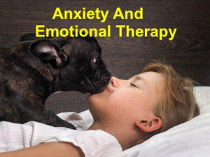 Read more about the article Anxiety And  Emotional Therapy