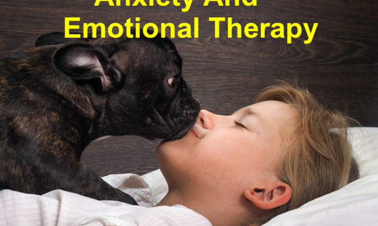 Anxiety And  Emotional Therapy