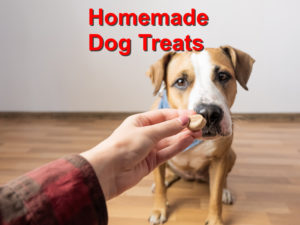 Read more about the article Homemade Dog Treats