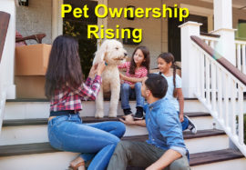 Pet Ownership Rising