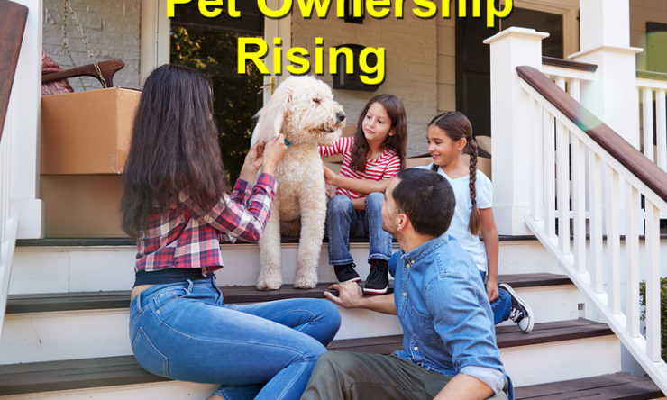 Pet Ownership Rising