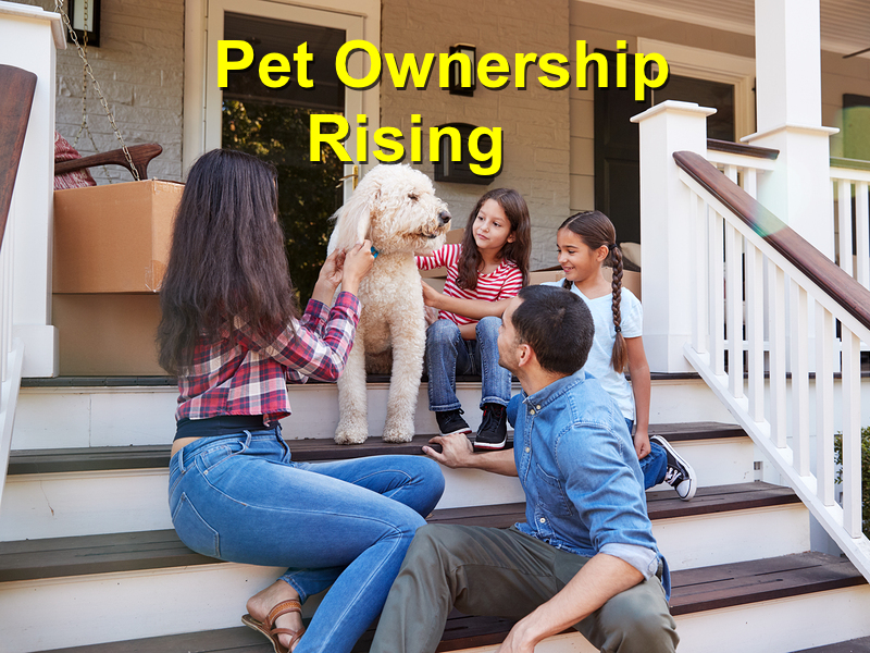 Read more about the article Pet Ownership Rising