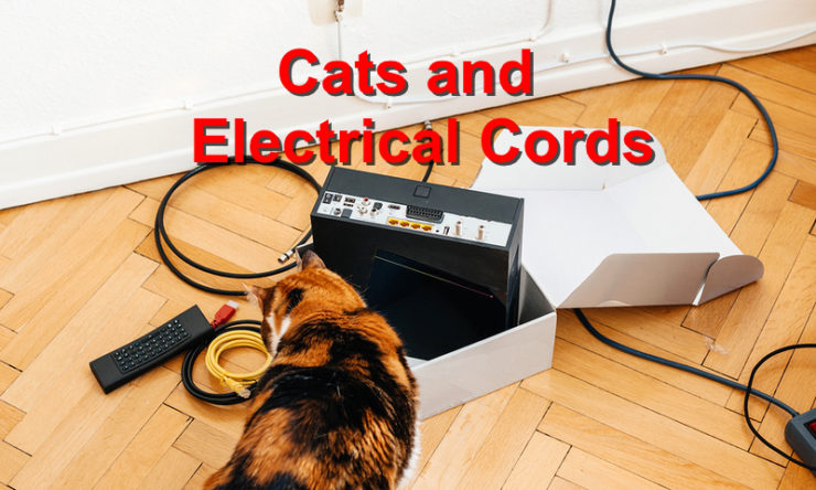 Cats and Electrical Cords