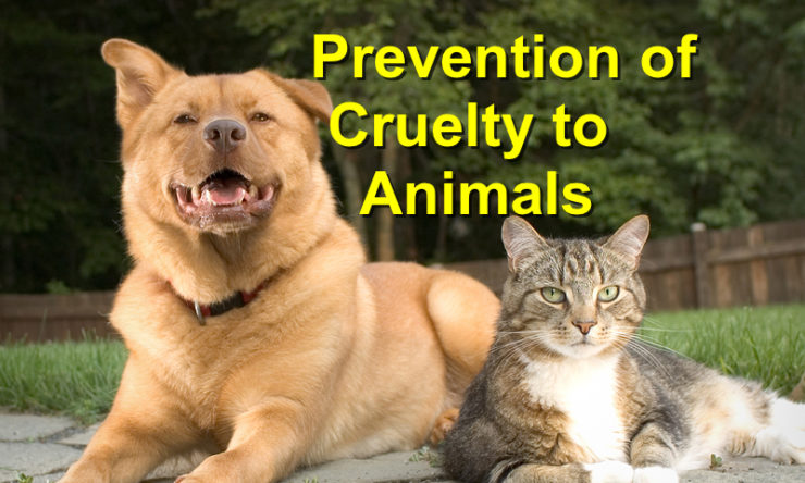 Prevention of Cruelty to Animals