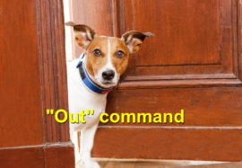 Out command