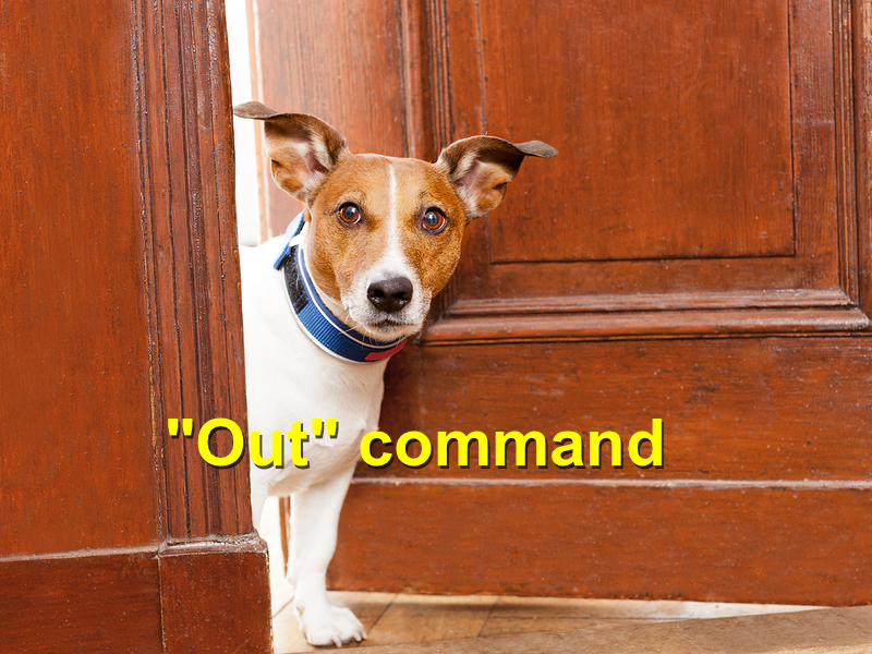 Read more about the article Out command