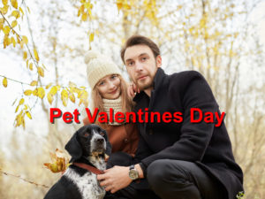 Read more about the article Pet Valentines Day