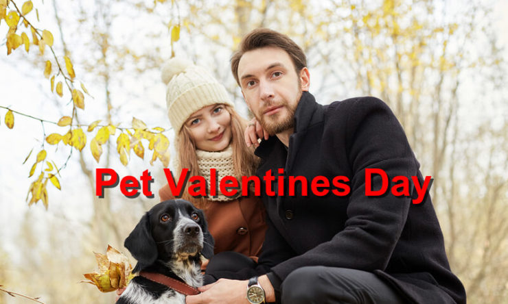 Pet Valentines Day