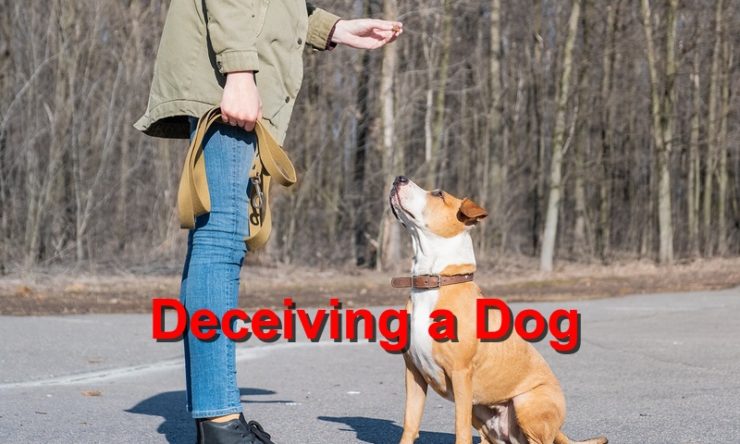 Deceiving a Dog