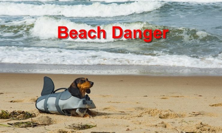 Beach Danger