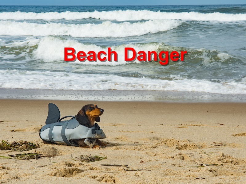 Read more about the article Beach Danger