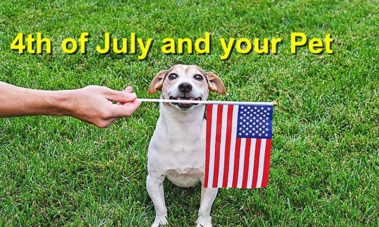 4th of July and your Pet