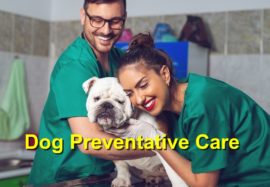 Dog Preventative Care