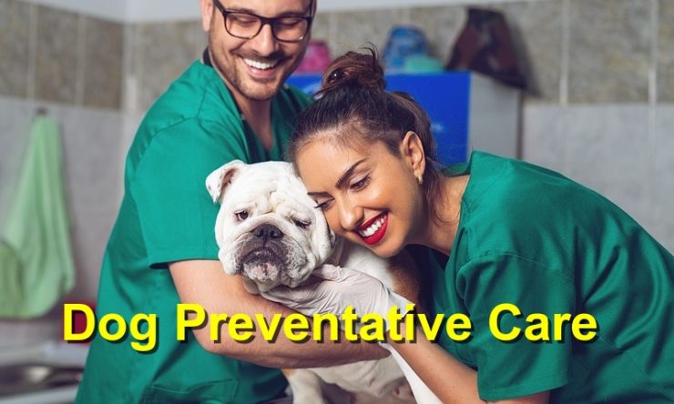 Dog Preventative Care