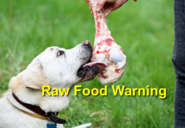 Raw Food Warning