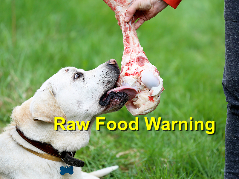 Read more about the article Raw Food Warning
